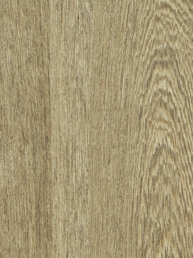 Dyed Wenge C/C 01